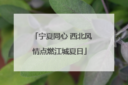 宁夏同心 西北风情点燃江城夏日