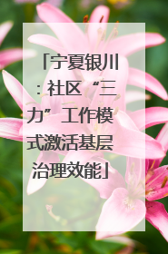 宁夏银川：社区“三力”工作模式激活基层治理效能