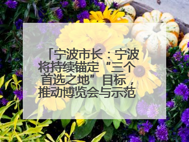 宁波市长：宁波将持续锚定“三个首选之地”目标，推动博览会与示范区互促共进