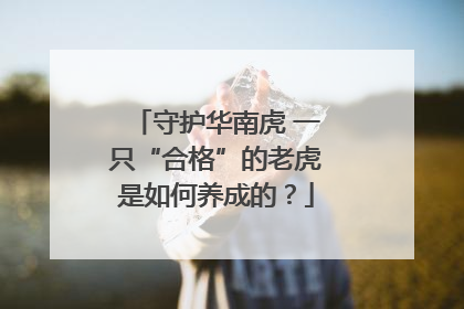 守护华南虎 一只“合格”的老虎是如何养成的？