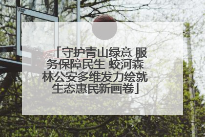 守护青山绿意 服务保障民生 蛟河森林公安多维发力绘就生态惠民新画卷