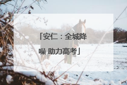 安仁：全城降噪 助力高考
