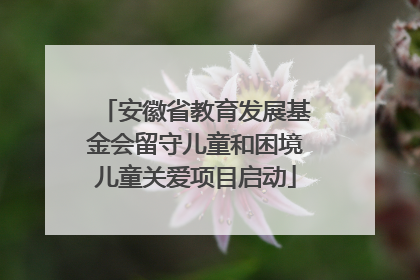 安徽省教育发展基金会留守儿童和困境儿童关爱项目启动