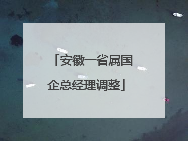安徽一省属国企总经理调整