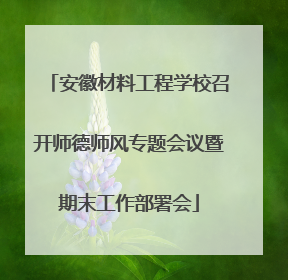 安徽材料工程学校召开师德师风专题会议暨期末工作部署会