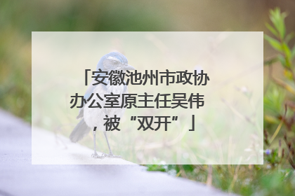安徽池州市政协办公室原主任吴伟，被“双开”