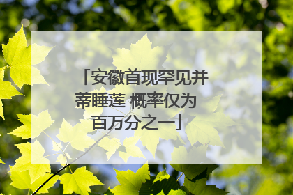 安徽首现罕见并蒂睡莲 概率仅为百万分之一