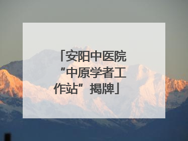 安阳中医院“中原学者工作站”揭牌