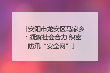 安阳市龙安区马家乡：凝聚社会合力 织密防汛“安全网”
