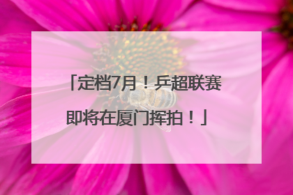 定档7月！乒超联赛即将在厦门挥拍！