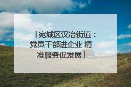 宛城区汉冶街道：党员干部进企业 精准服务促发展