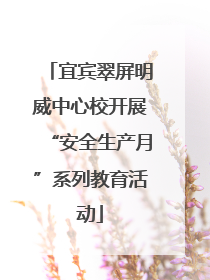 宜宾翠屏明威中心校开展“安全生产月”系列教育活动