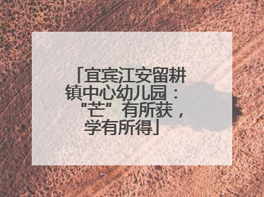 宜宾江安留耕镇中心幼儿园：“芒”有所获，学有所得