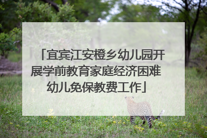 宜宾江安橙乡幼儿园开展学前教育家庭经济困难幼儿免保教费工作