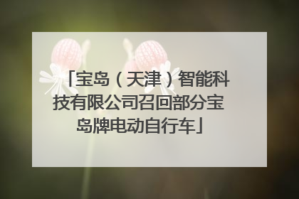 宝岛（天津）智能科技有限公司召回部分宝岛牌电动自行车
