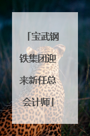 宝武钢铁集团迎来新任总会计师
