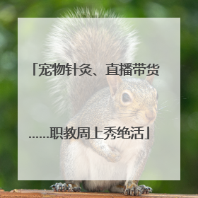 宠物针灸、直播带货……职教周上秀绝活