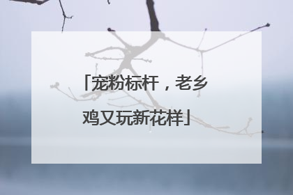 宠粉标杆，老乡鸡又玩新花样