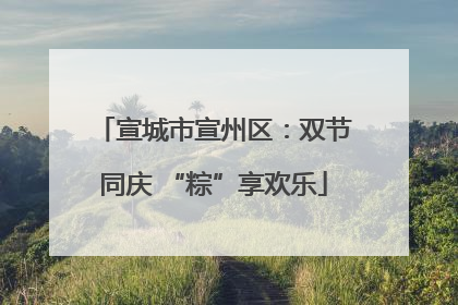 宣城市宣州区：双节同庆 “粽”享欢乐