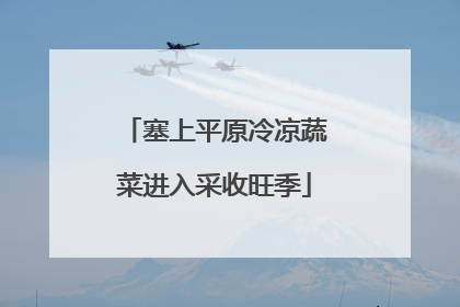 塞上平原冷凉蔬菜进入采收旺季