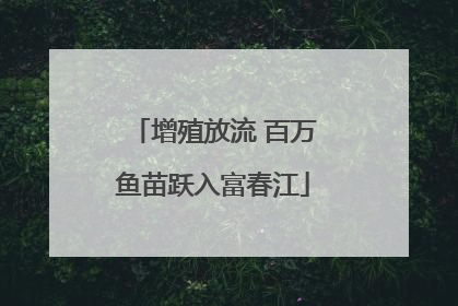 增殖放流 百万鱼苗跃入富春江