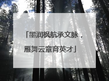 墨润枫航承文脉，雁舞云章育英才