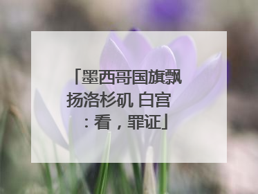 墨西哥国旗飘扬洛杉矶 白宫：看，罪证