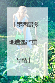 墨西哥多地遭遇严重旱情