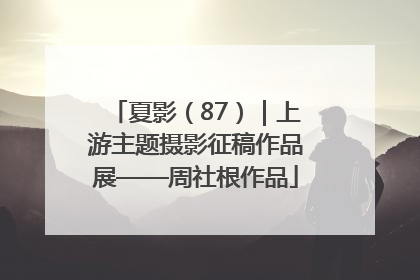 夏影（87）｜上游主题摄影征稿作品展——周社根作品