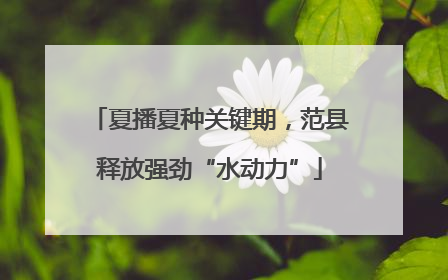 夏播夏种关键期，范县释放强劲“水动力”