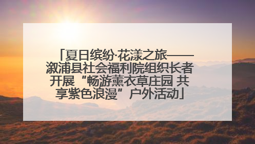 夏日缤纷·花漾之旅——溆浦县社会福利院组织长者开展“畅游薰衣草庄园 共享紫色浪漫”户外活动