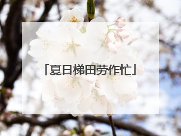 夏日梯田劳作忙