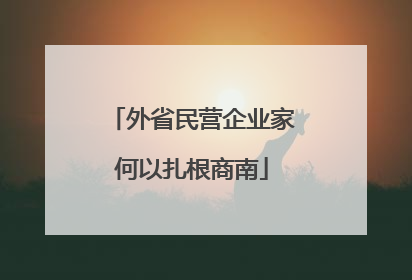 外省民营企业家何以扎根商南