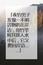 夜钓男子发现一不明活物趴在岸边，用竹竿将其拨入水中后，它又爬回岸边……