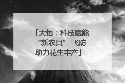 大悟：科技赋能“新农具” 飞防助力花生丰产