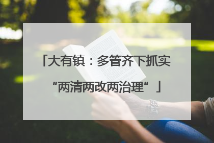 大有镇：多管齐下抓实“两清两改两治理”