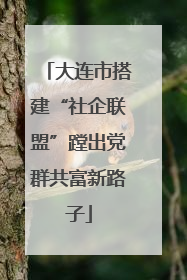 大连市搭建“社企联盟”蹚出党群共富新路子