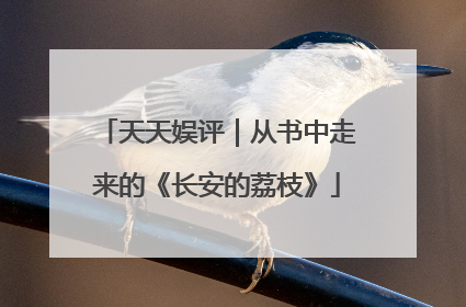 天天娱评｜从书中走来的《长安的荔枝》