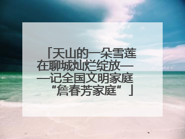 天山的一朵雪莲在聊城灿烂绽放——记全国文明家庭“詹春芳家庭”