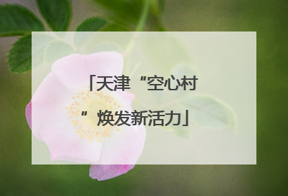 天津“空心村”焕发新活力