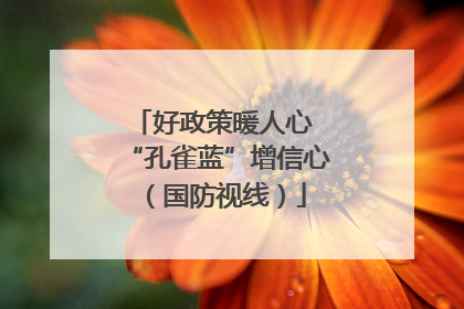 好政策暖人心 “孔雀蓝”增信心（国防视线）