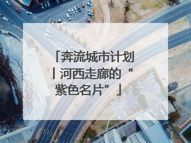 奔流城市计划丨河西走廊的“紫色名片”