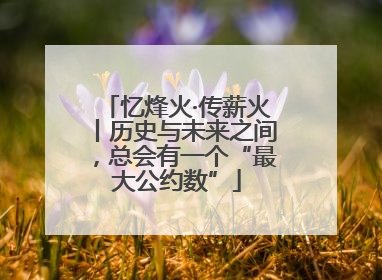 忆烽火·传薪火丨历史与未来之间，总会有一个“最大公约数”