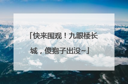 快来围观！九眼楼长城，傻狍子出没~