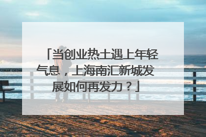 当创业热土遇上年轻气息，上海南汇新城发展如何再发力？