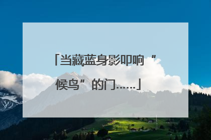当藏蓝身影叩响“候鸟”的门……