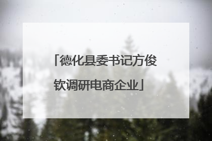德化县委书记方俊钦调研电商企业