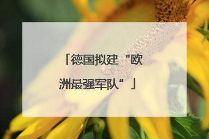 德国拟建“欧洲最强军队”