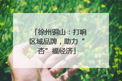 徐州铜山：打响区域品牌，助力“杏”福经济