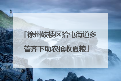 徐州鼓楼区拾屯街道多管齐下助农抢收夏粮
